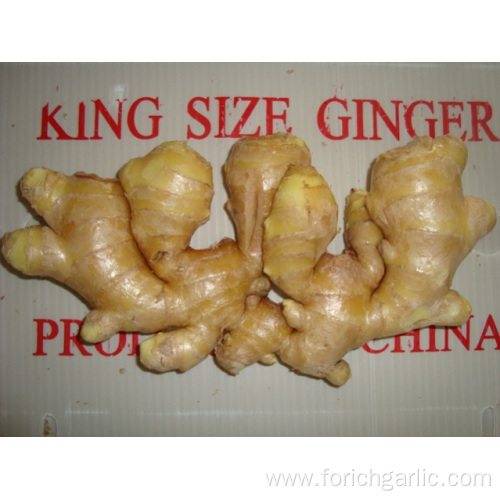 Good Quality Air-dried Ginger In Competitive Price